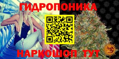 прущие грибы Краснознаменск