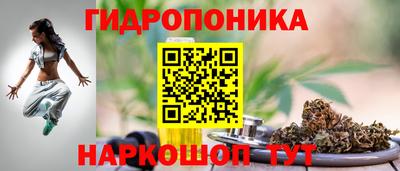прущие грибы Краснознаменск