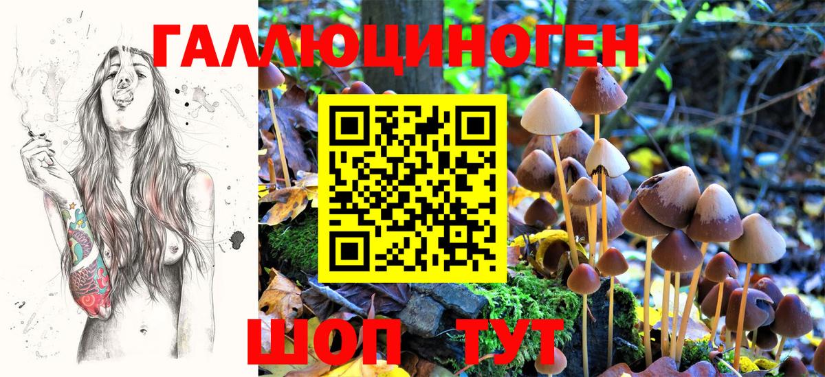 Галлюциногенные грибы Cubensis  Галлюциногенные грибы Cubensis  купить закладку  Вход с VPN  Черногорск 